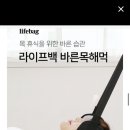 라이프백 거북목 교정 자세교정해먹 목스트레칭 이미지