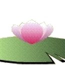 안경너머로보이는세상 Daum카페