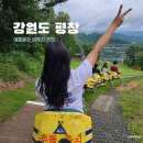 살바토레펜션 | [국내여행] 강원도 평창 여름휴가 여행지 추천코스3