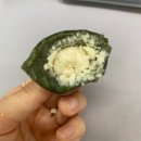 [쿠팡체험단] 냉동실 필수 간식! 쫀득함이 살아있는 소소담 동부 모싯떡 솔직 후기