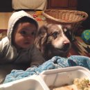 아이맘마 이미지