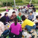 신일 목장 이미지