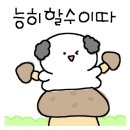 번오마을종합사회복지관 이미지