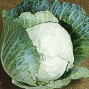 (주)좋은음식 - 용인시 처인구 | (주)좋은음식