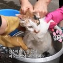 파인힐 이미지