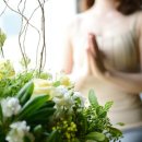 반다요가 이미지