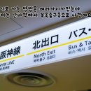 더21 이미지