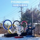 내리목장 | 겨울가볼만한곳 평창여행 2026 대관령 눈꽃축제