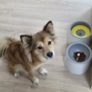 멍스쿠킹 이미지