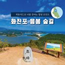 [당일여행]6월 28(월)/29(화)- 2회차 진행 고성 하늬라벤더팜, 화진포해수욕장 피톤치드 힐링테라피 투어 이미지