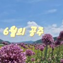 코끼리떡집 - 북구 호계로 332-2 | 코끼리떡집