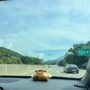 계곡여행 | [소호랑 계곡 캠핑장] 낭만의 계곡 당일치기 여행 후기