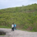 문화농장 이미지