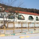 산책펜션 Daum카페