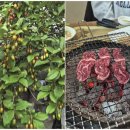 금화불고기 | 언양금화 불고기 방문 후기 | 제대로 맛본 언양 맛집