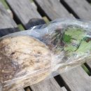 산골공작소 이미지