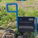 종달바당 이미지