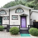 라임벨리 이미지