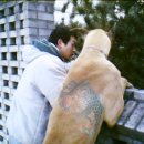 도그아트 이미지