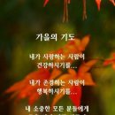 송*수 - 미추홀구 용정공원로 33 | 송*수