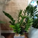 대경공인중개사사무소 이미지