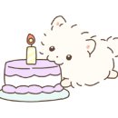 버틀랩