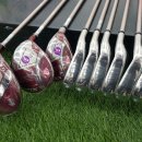 SG예스골프 이미지