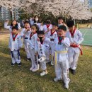 일곡태권도 이미지