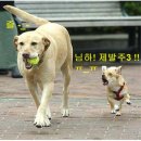주삼