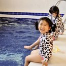 스카이 온수수영장 펜션 | 대부도 펀지키즈풀빌라 온수풀 수영장 펜션 솔직후기