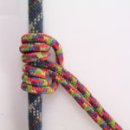 안녕, 펫 이미지