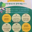 세종양초
