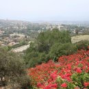 거북이동산 이미지