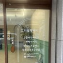 꼬리별디자인