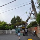 전주한옥레트로 | 전주 한옥마을 가볼만한곳, 전주난장 레트로 체험 솔직후기