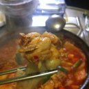 꼬꼬닷컴 네이버블로그