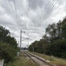 디엠지스테이 이미지