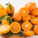 최선영농조합법인 이미지