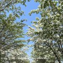 지리산짜글이회무침 이미지