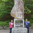 여주(강릉) 이미지