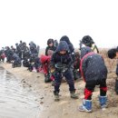 해평초등학교 이미지