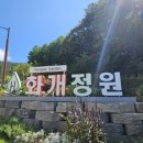 난정리(해바라기정원) 이미지