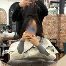 (주)새운터 | W32. 나의 결혼식