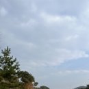 푸른솔과일 이미지
