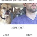 광주21세기병원 | 운전면허 한번에 합격한 썰 (하남21세기자동차운전학원)