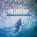 보홀트래블 나팔링 호핑투어 예약 가격 내돈내산
