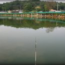 파지낚시터 이미지