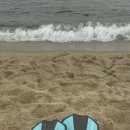 상아냉동 이미지