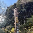 수풀林 | 제주 비자림 소요시간, 입장료, 코스 소개