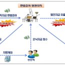 영앤리치(Young&Rich) 이미지